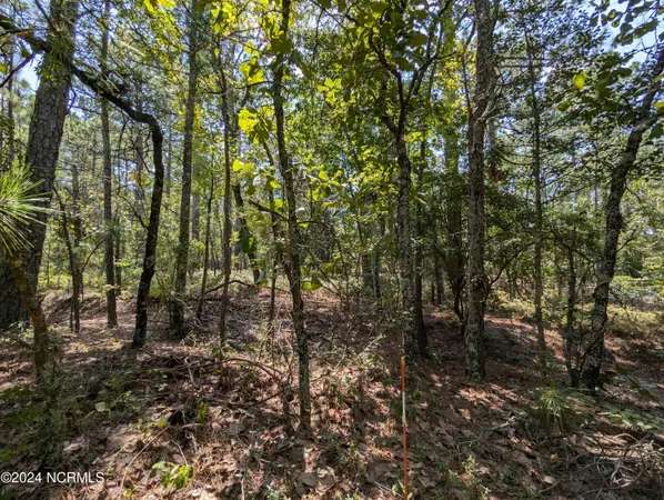 $77,000 | 445 Thimbleberry Drive, Vass, NC 28394
