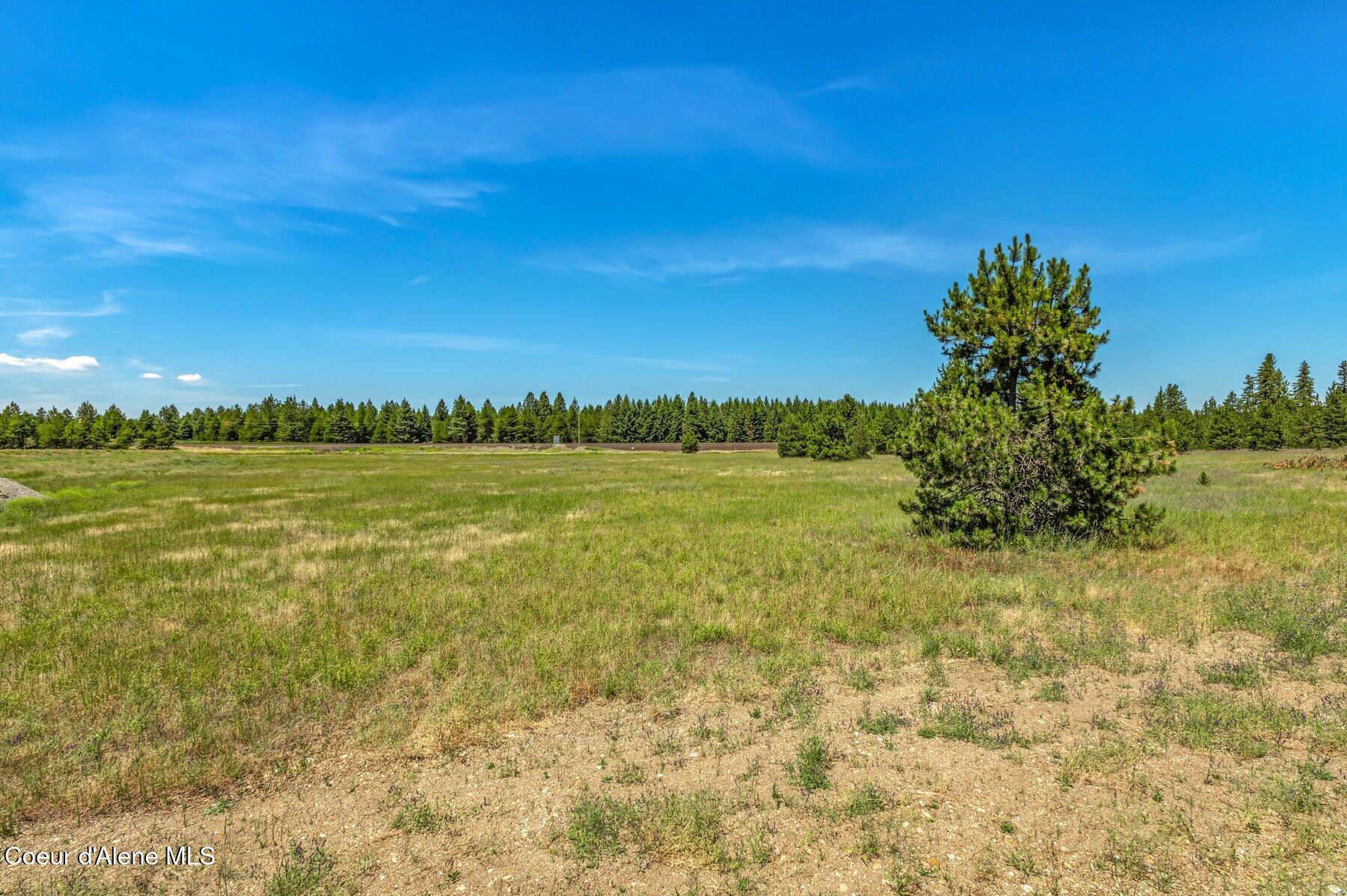 Lot 12 Asulkan Street Athol, ID 83801 - Photo 5 of 9 --16.jpg-SMALL