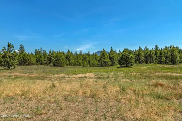 $315,000 | Lot 12 Asulkan Street, Athol, ID 83801