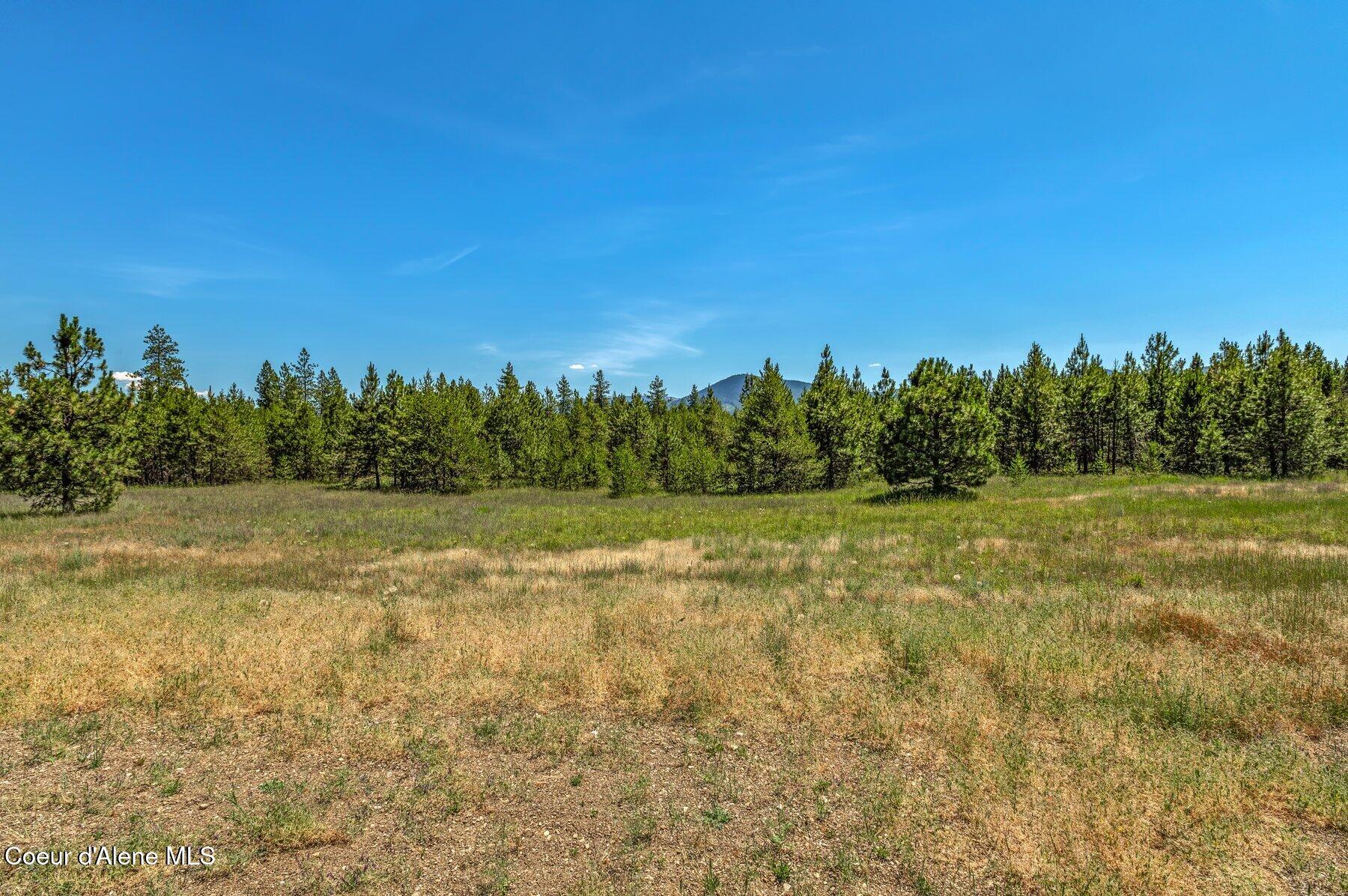 Lot 12 Asulkan Street Athol, ID 83801 - Photo 6 of 9 --20.jpg-SMALL