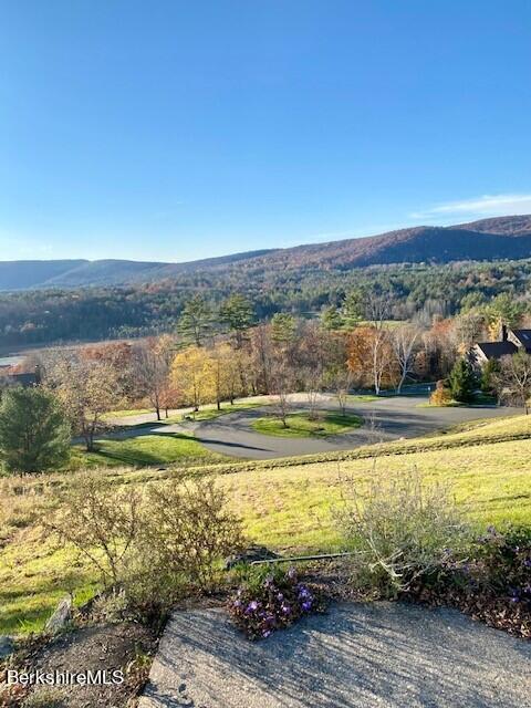 176 Old Stockbridge Road, Unit SMITH #2 Lenox, MA 01240 - Photo 31 of 39 incredible views