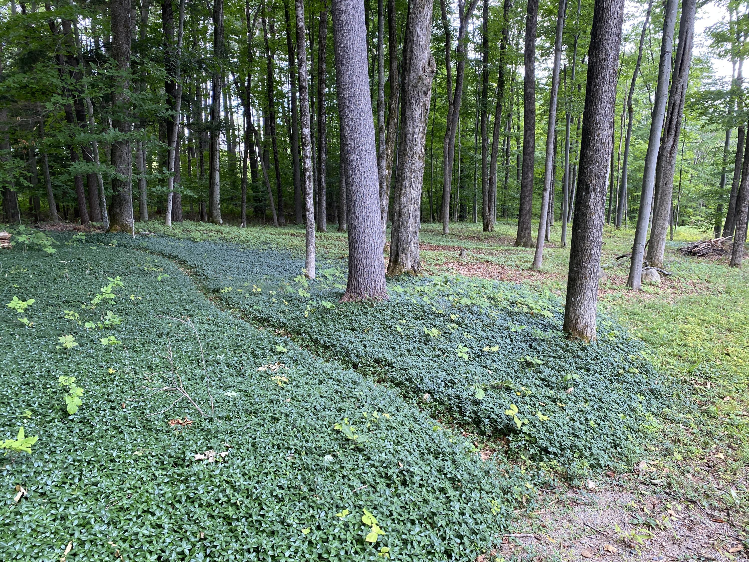 131 Belcher Road Farmington, ME 04938 - Photo 52 of 60 IMG_2325
