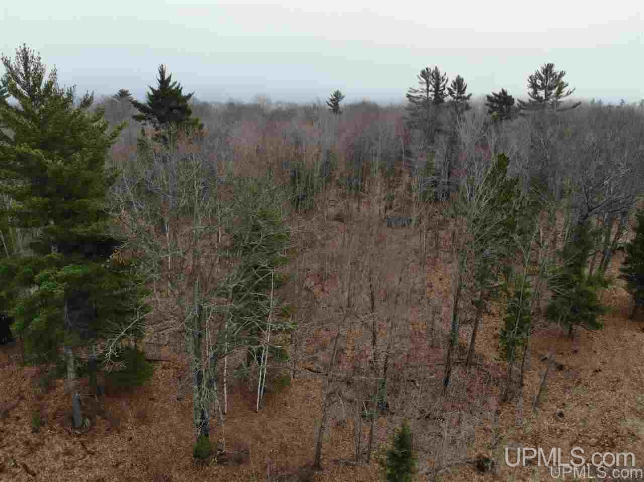 Tbd Plains Cutoff Road Baraga, MI 49908 - Photo 28 of 49