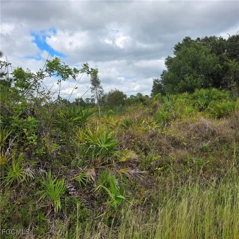 $32,000 | 4627 Karen Avenue North, Lehigh Acres, FL 33971