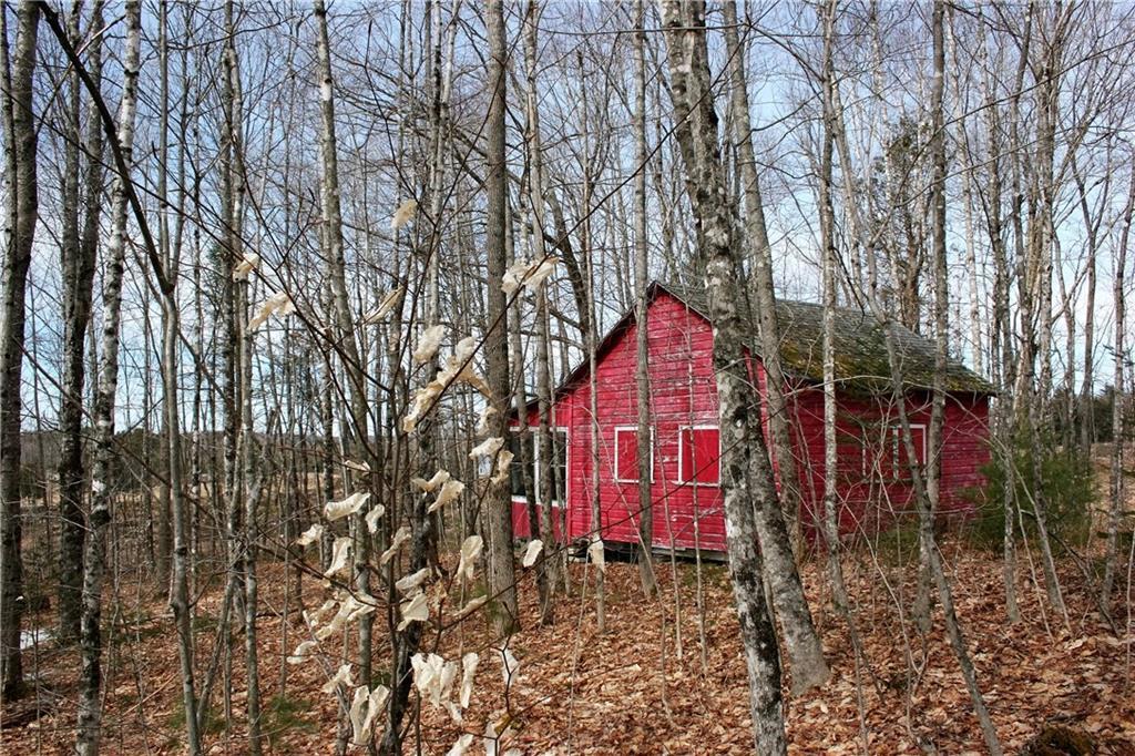 Wide angle showing cabin's lot...
