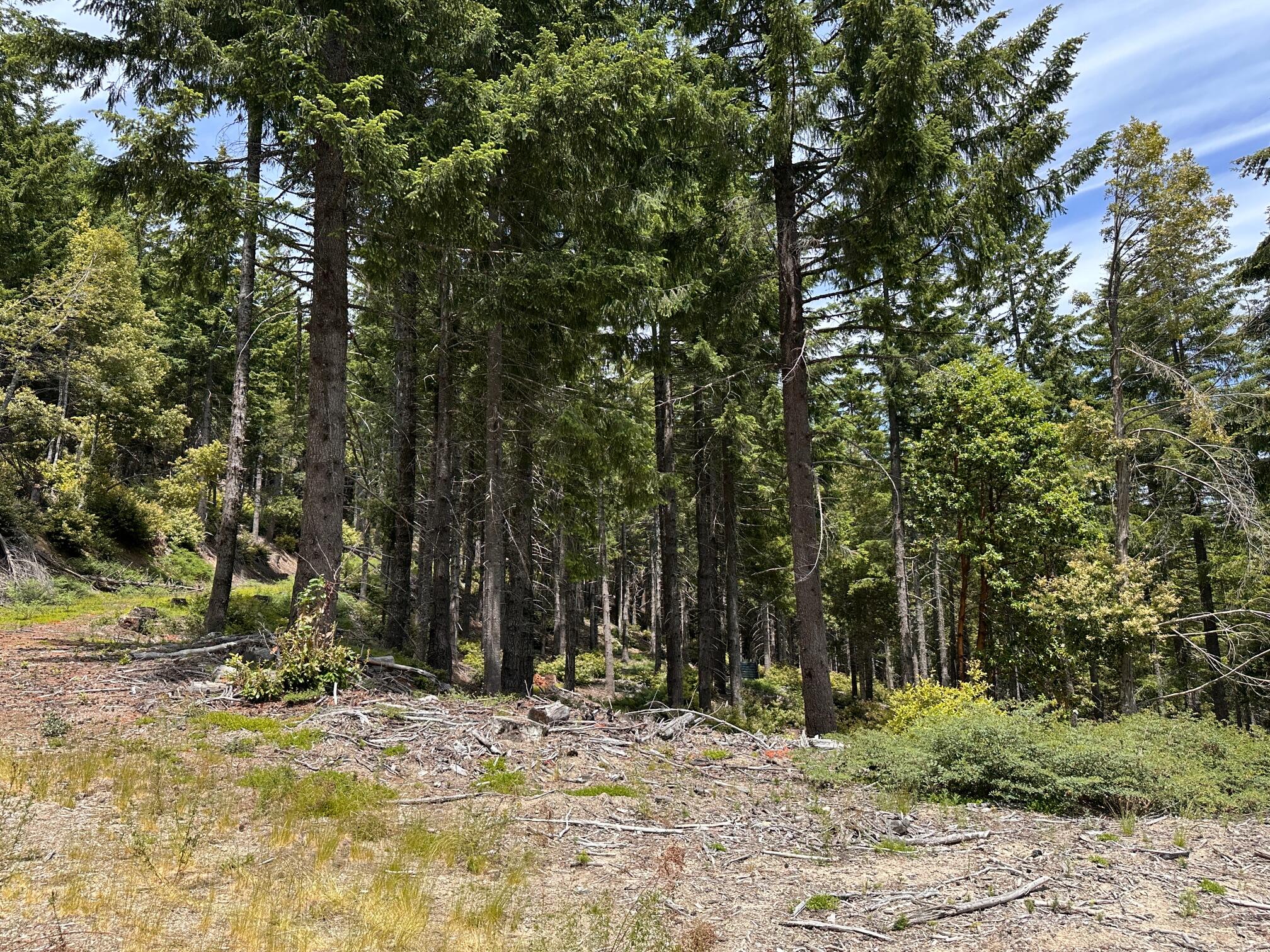 165 Three Creeks Road Blue Lake, CA 95525 - Photo 27 of 35