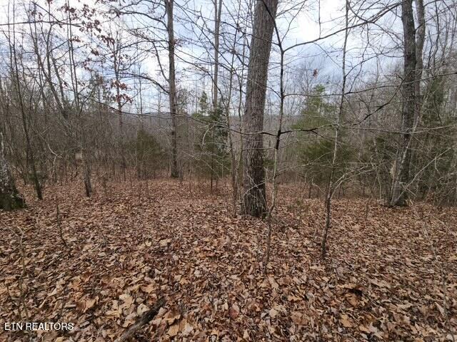Whitetail Lane La Follette, TN 37766 - Photo 1 of 5 Whitetail Ln (1)
