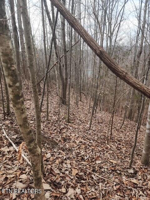 Whitetail Lane La Follette, TN 37766 - Photo 2 of 5 Whitetail Ln (2)