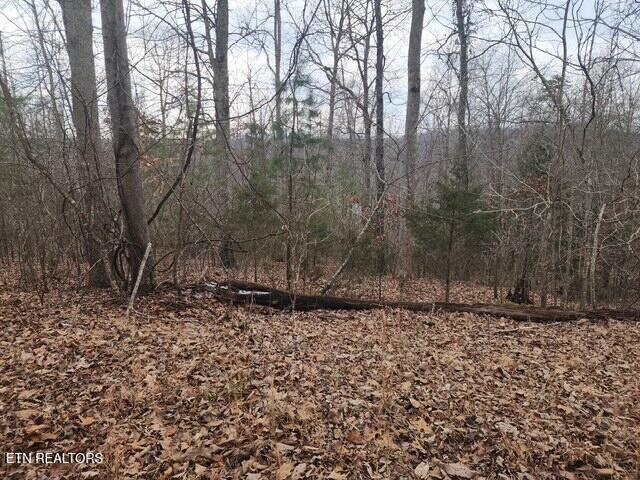 Whitetail Lane La Follette, TN 37766 - Photo 5 of 5 Whitetail Ln (5)