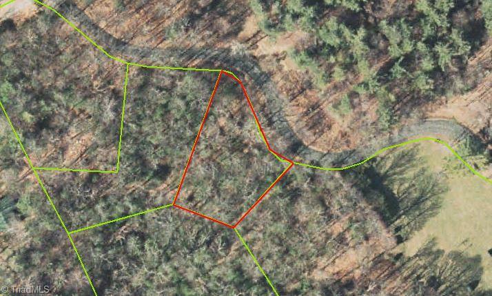1123 Blue Ridge Church Road Purlear, NC 28665 - Photo 4 of 4
