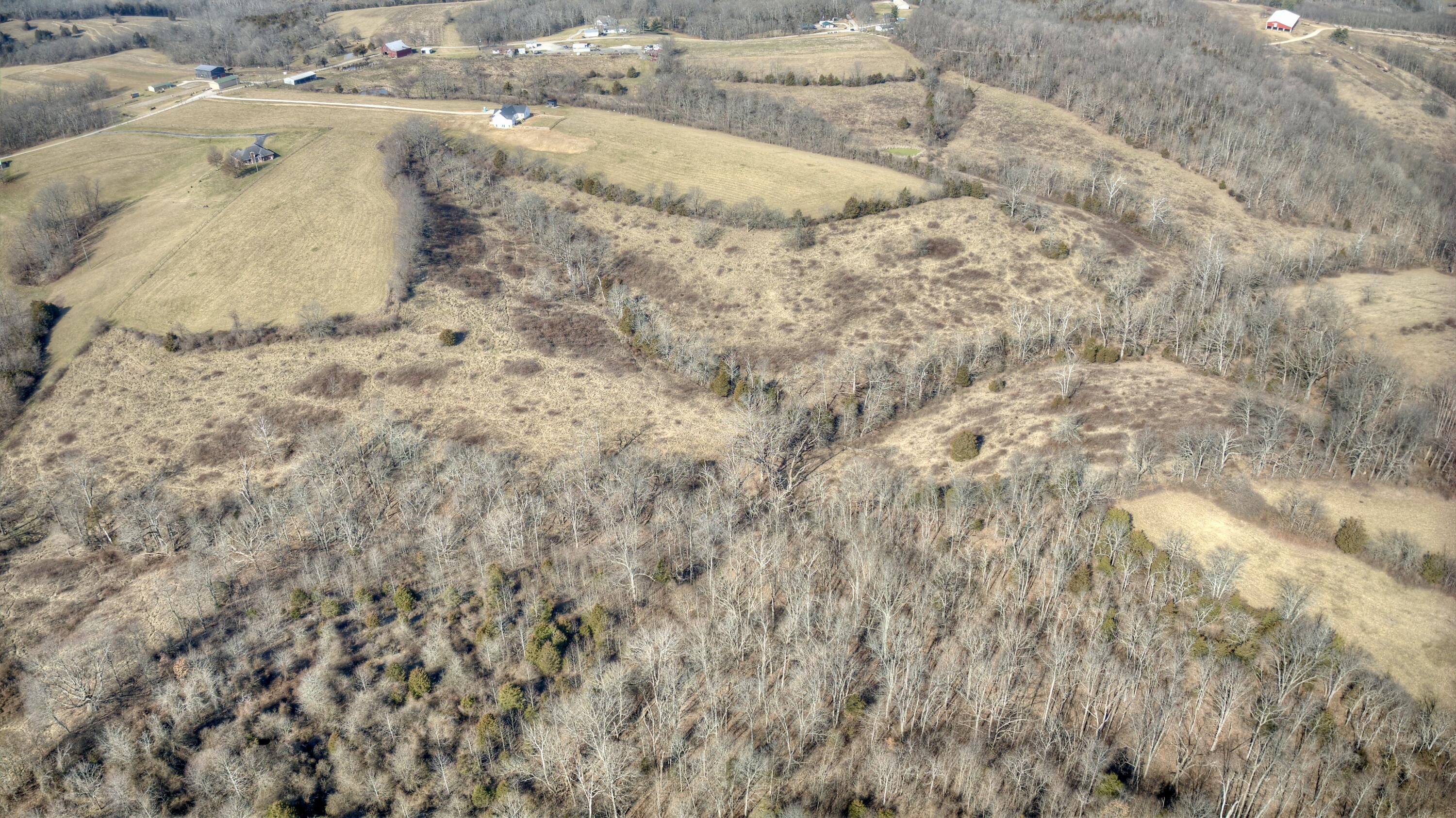 0 Menefee Road Crittenden, KY 41030 - Photo 11 of 22 Gallery Image 11