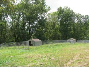 922 Taylor Bridge Road Jonesborough, TN 37659 - Photo 16 of 22 Photo 16