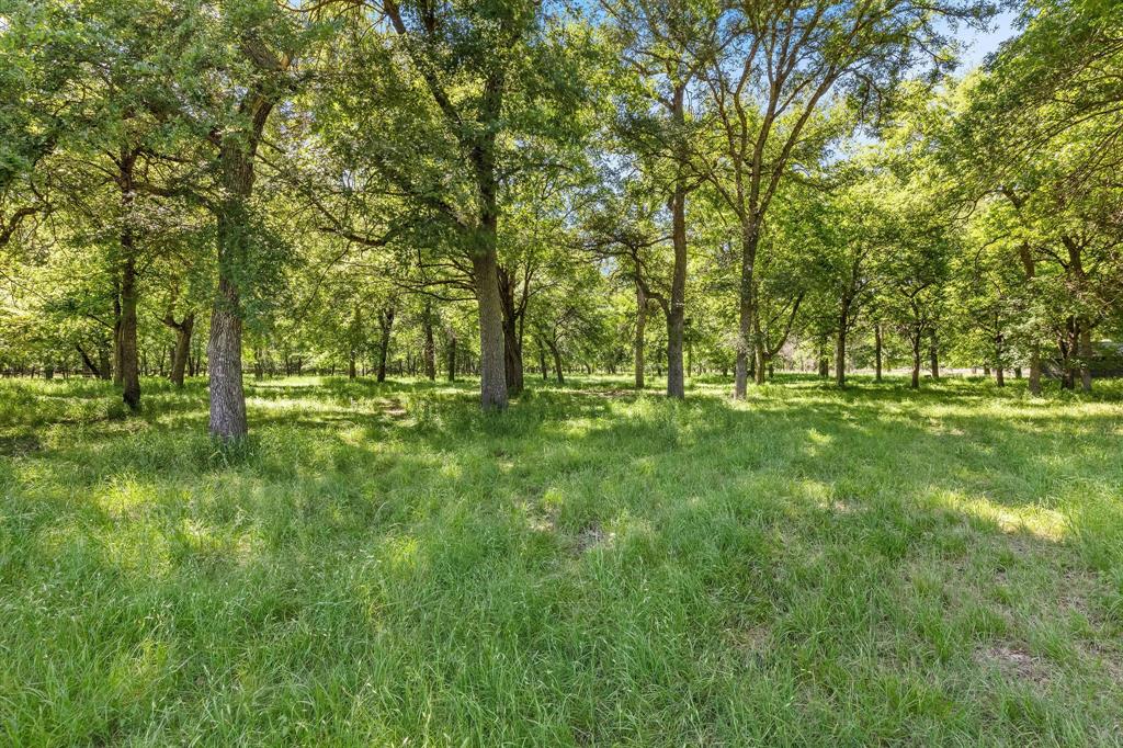 145 Indian Trail Decatur, TX 76234 - Photo 35 of 40 a view of park with trees