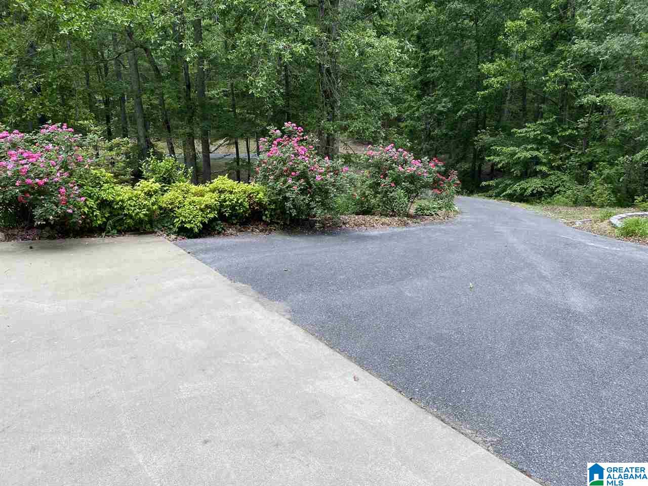722 Robinson Road Gallant, AL 35972 - Photo 5 of 31