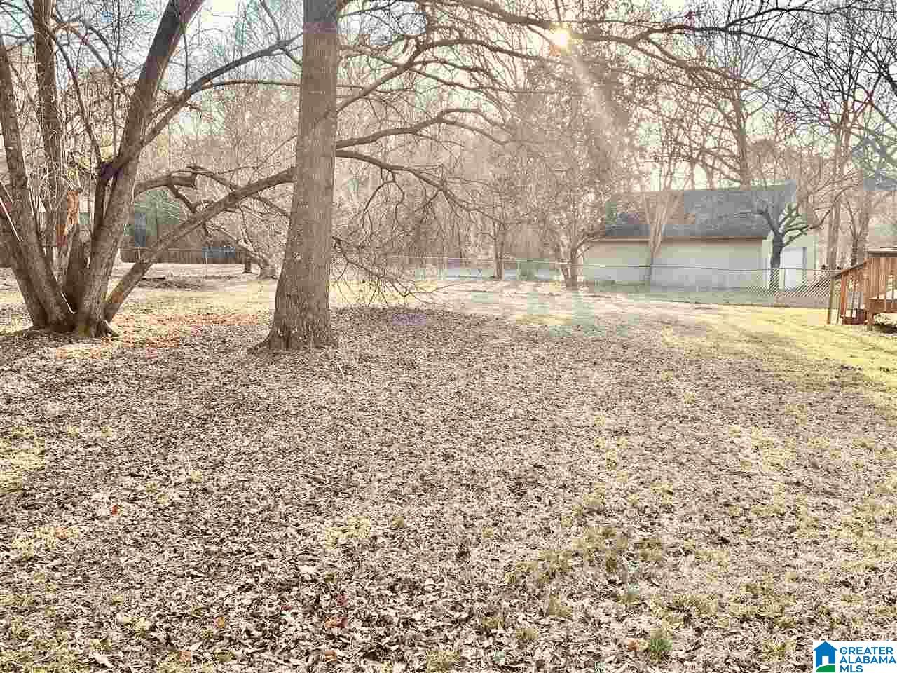 401 Brothers Avenue Wilsonville, AL 35186 - Photo 13 of 13