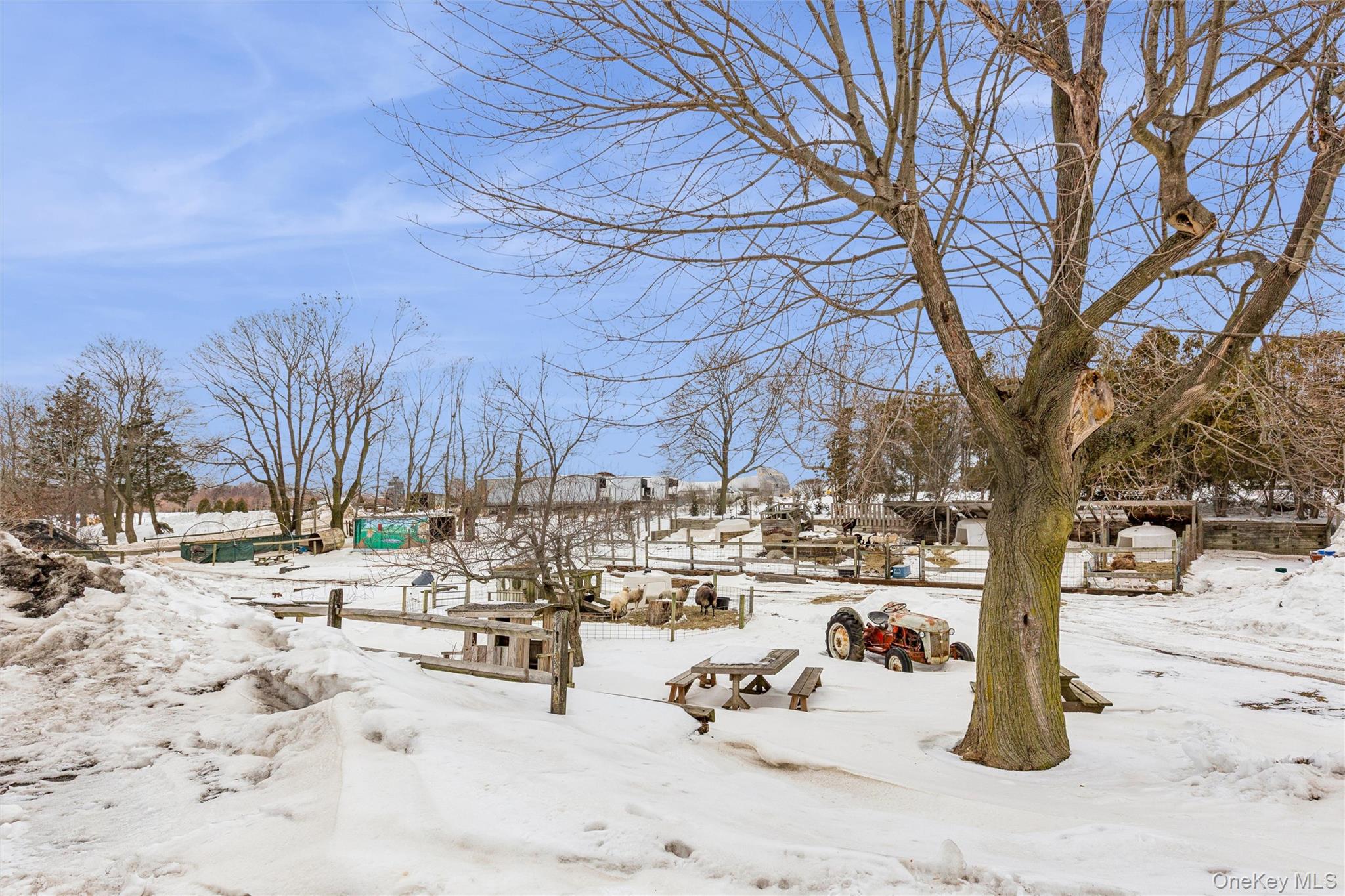 250 Main Road Riverhead, NY 11901 - Photo 30 of 31 a view of a yard covered with snow in the outdoor space