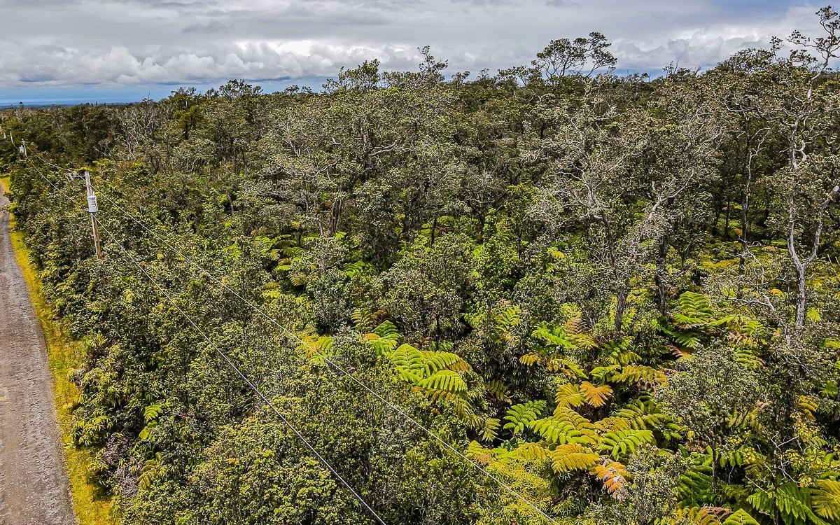 8702 Hoolehua Road Volcano, HI 96778 - Photo 4 of 5 a view of a bunch of trees and bushes