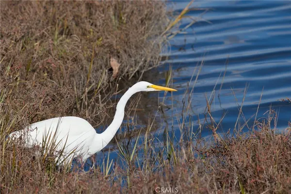 a view of a building with street view