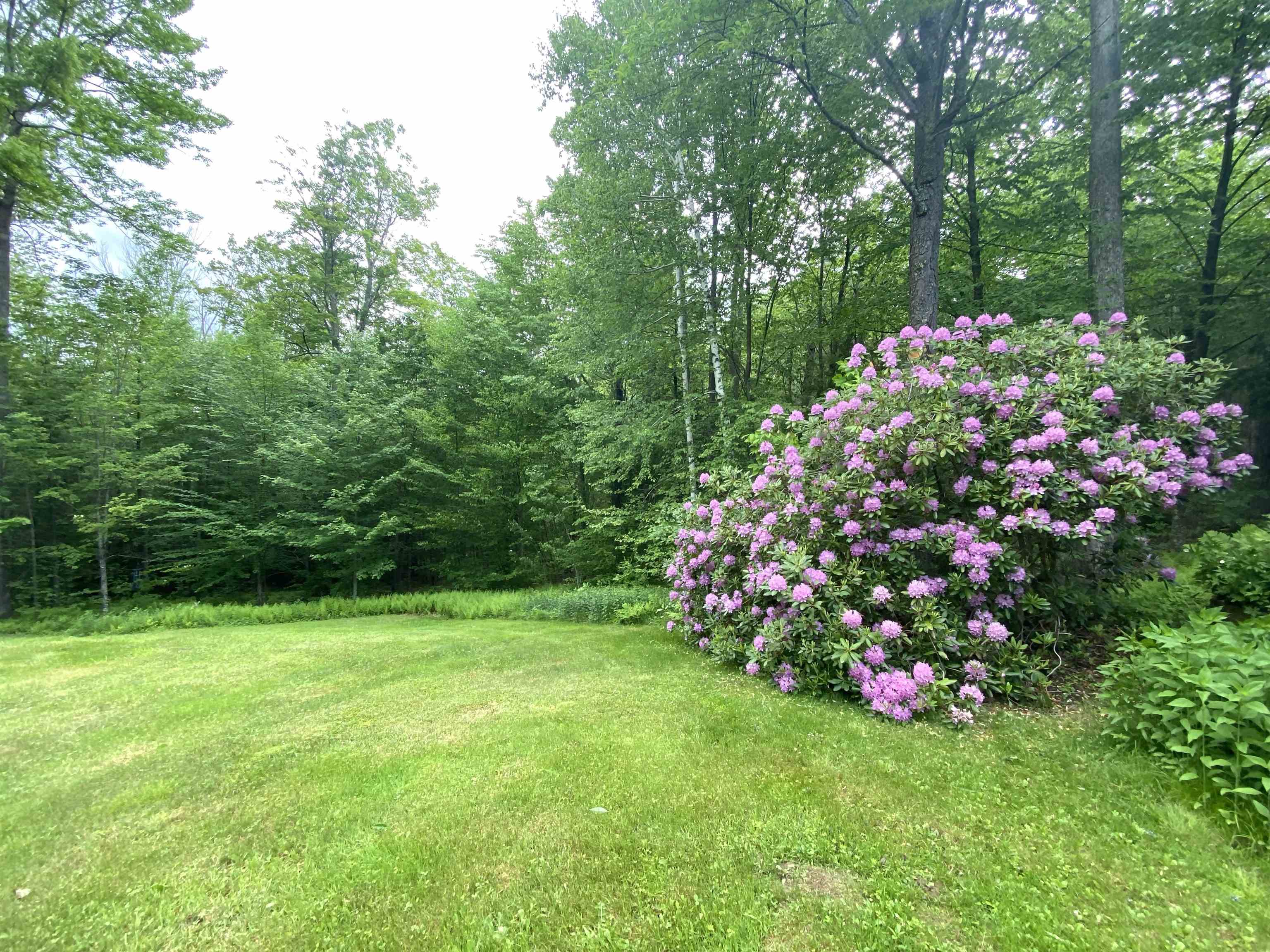 1041 Church Hollow Road Marlboro, VT 05301 - Photo 53 of 56