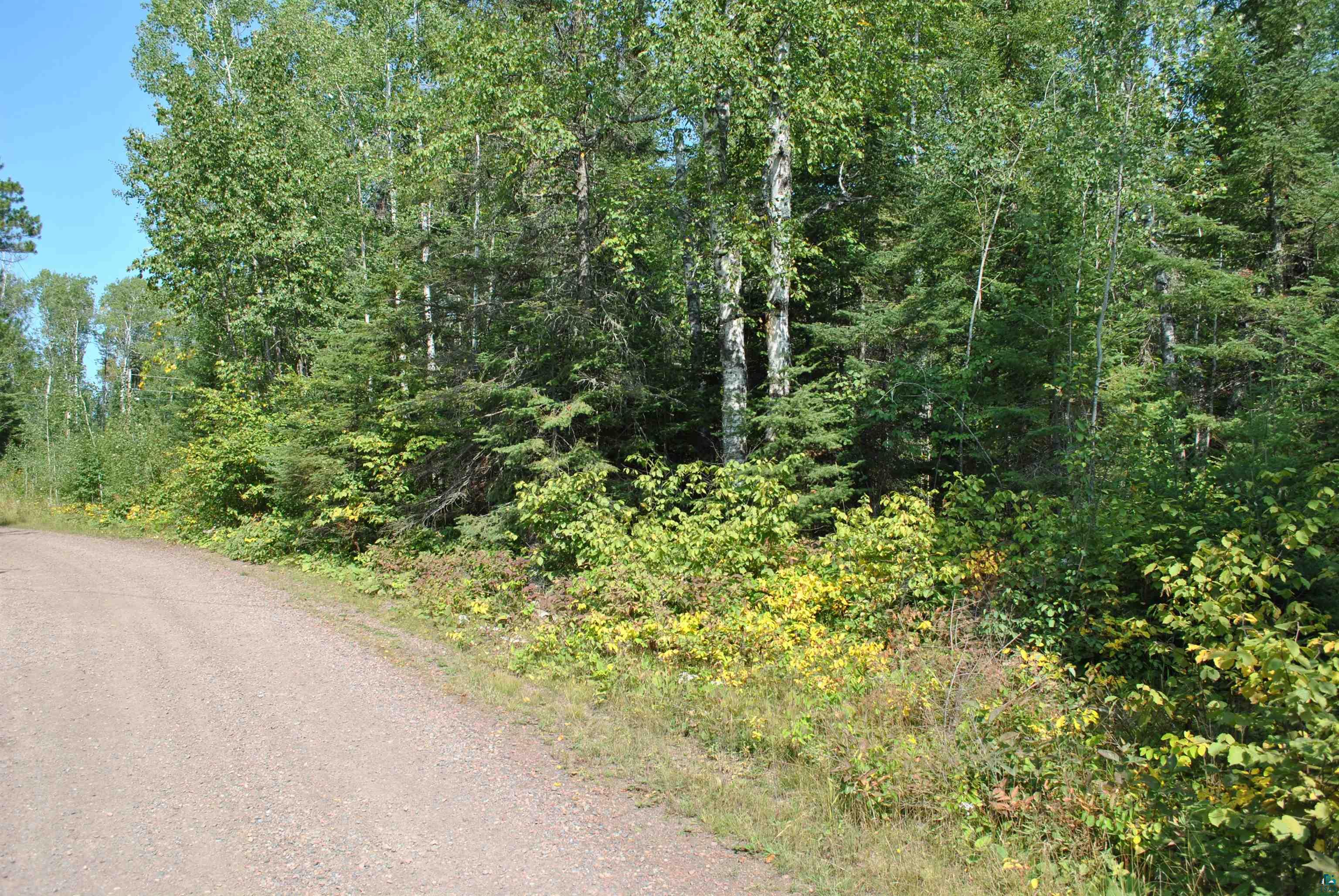 11 Romans Road Grand Marais, MN 55604 - Photo 1 of 18 Gallery Image 1