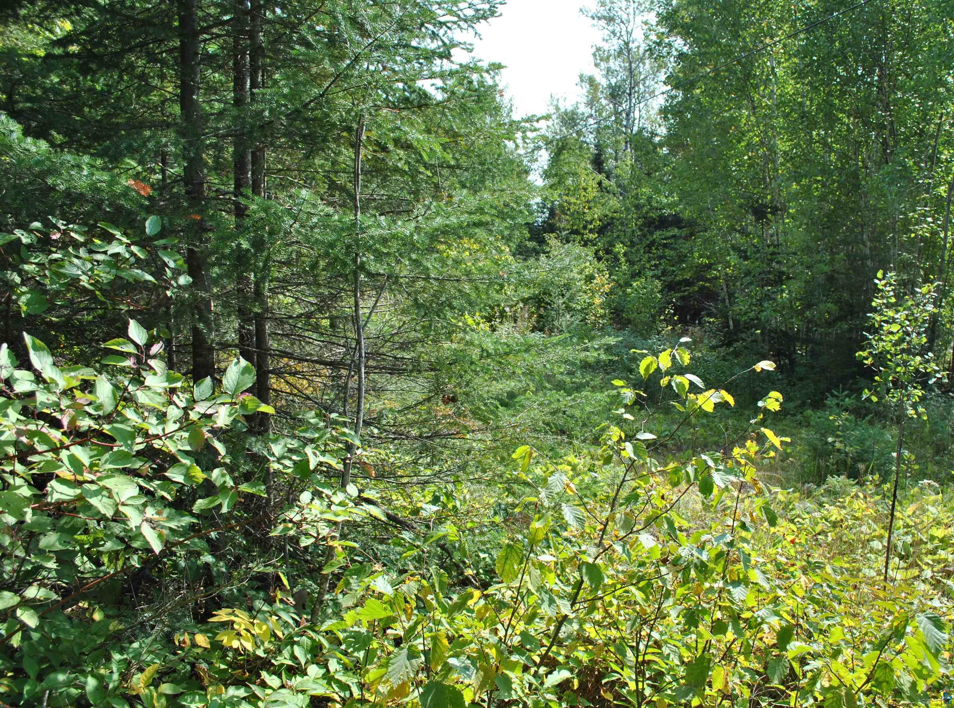 11 Romans Road Grand Marais, MN 55604 - Photo 12 of 18 Gallery Image 12