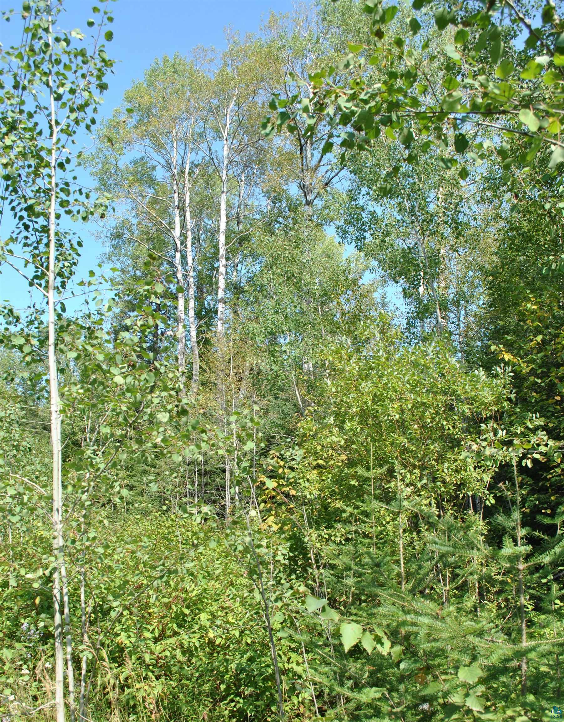 11 Romans Road Grand Marais, MN 55604 - Photo 13 of 18 Gallery Image 13