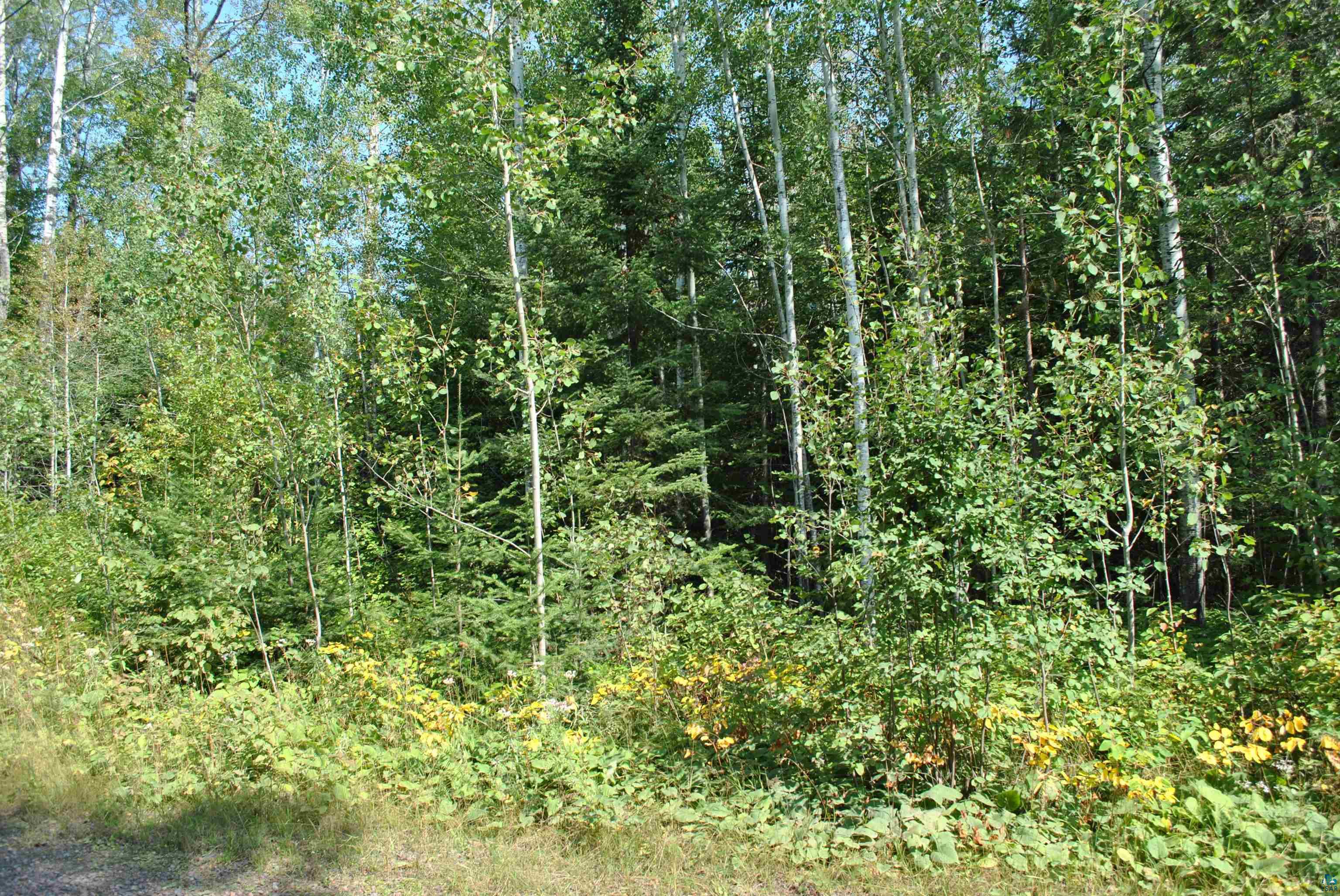 11 Romans Road Grand Marais, MN 55604 - Photo 14 of 18 Gallery Image 14