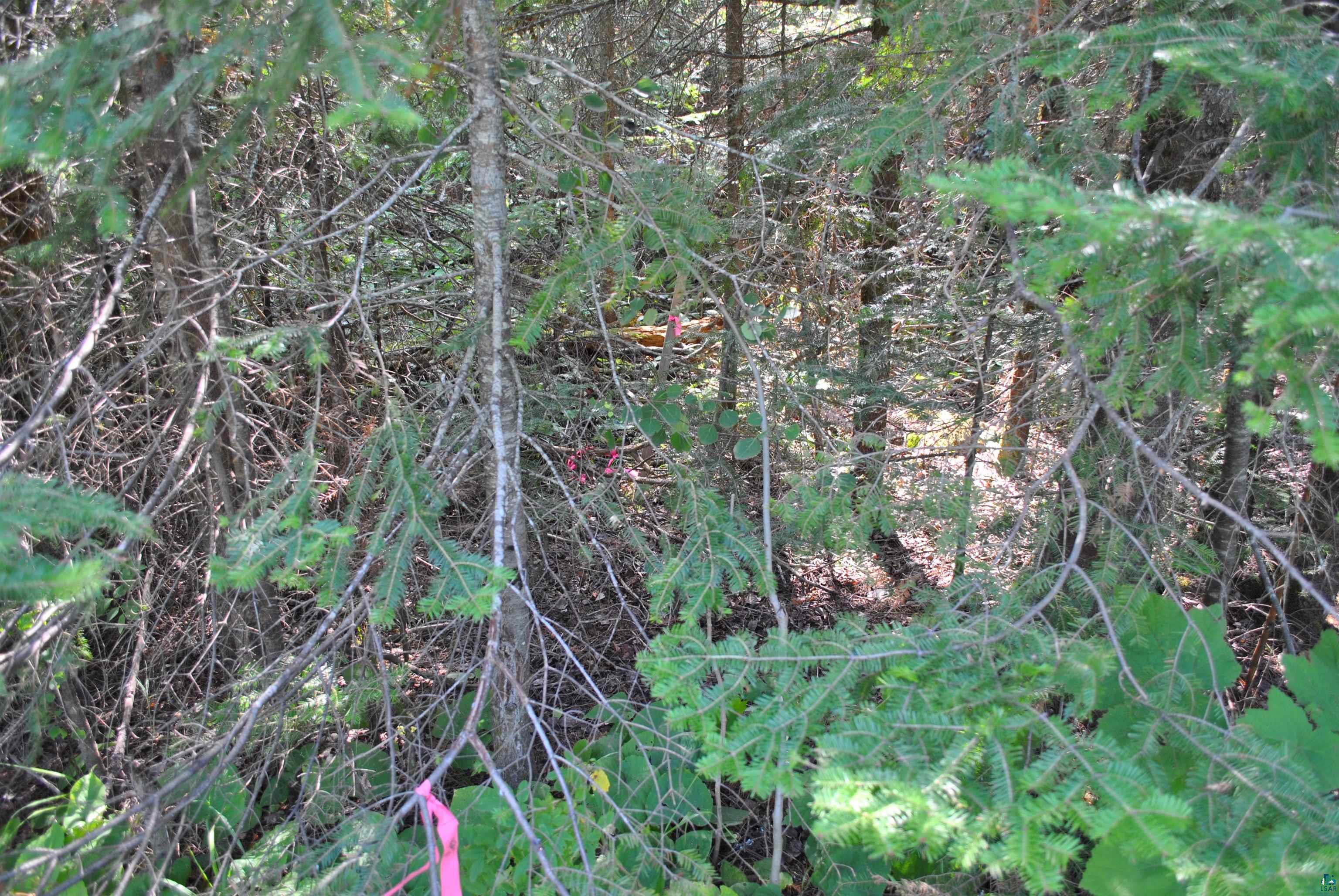 11 Romans Road Grand Marais, MN 55604 - Photo 15 of 18 Corner Pin on Devil Track Rd
