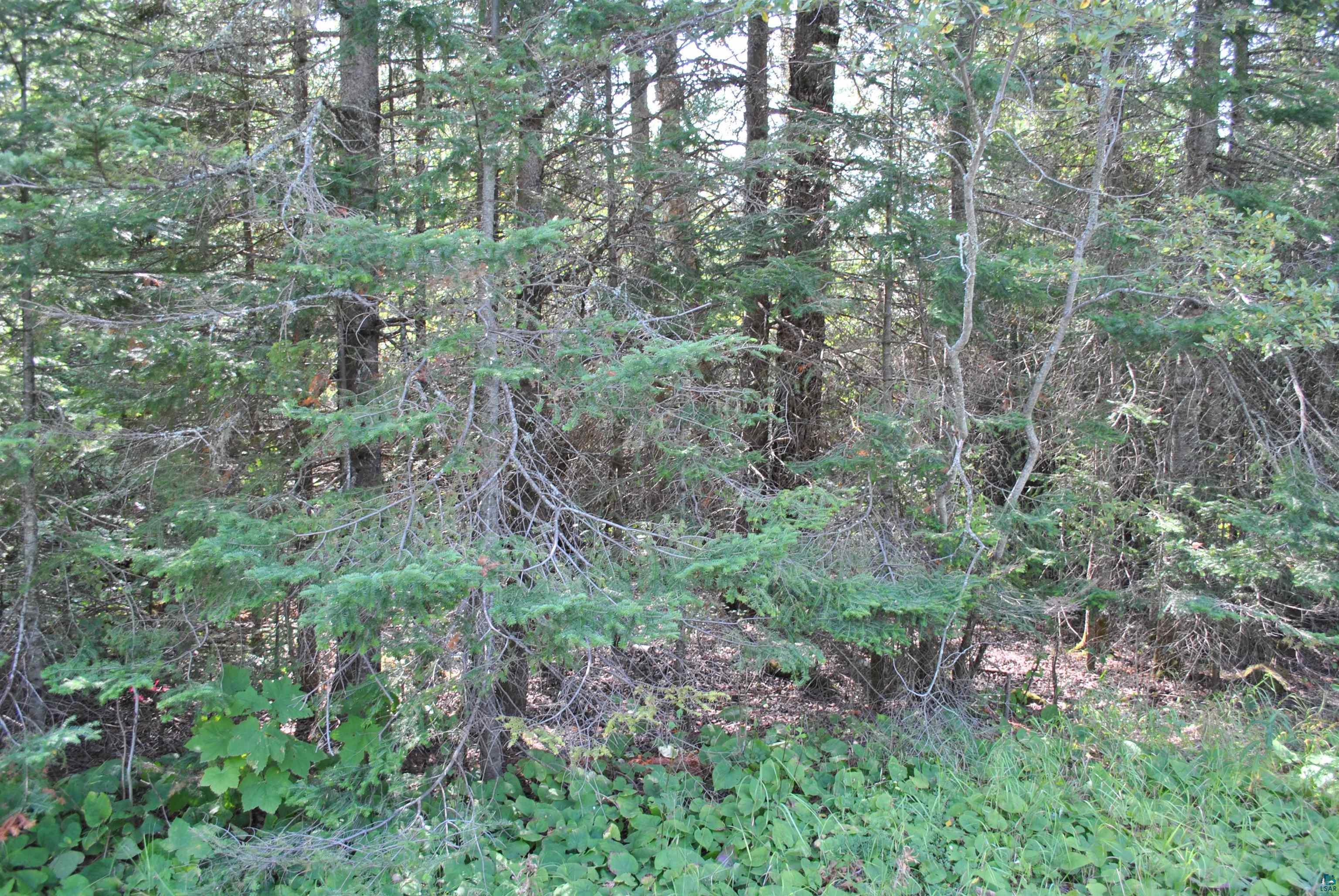 11 Romans Road Grand Marais, MN 55604 - Photo 16 of 18 Gallery Image 16