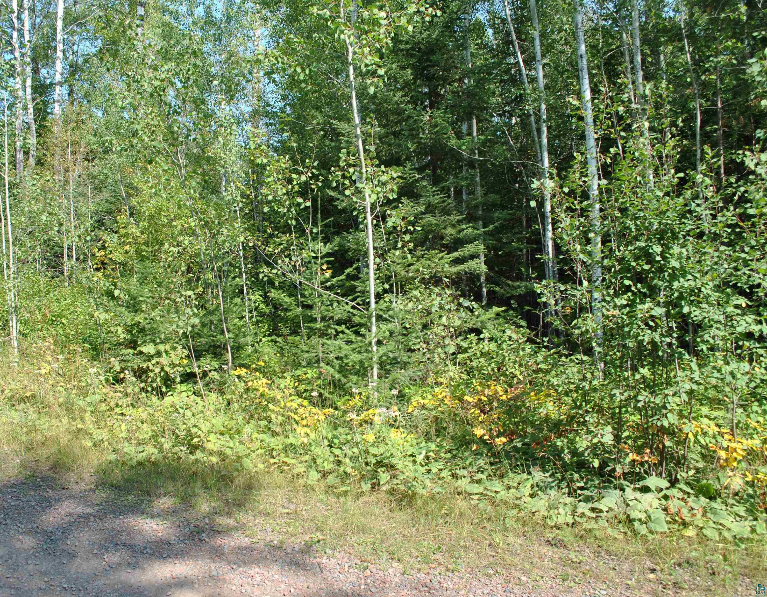 11 Romans Road Grand Marais, MN 55604 - Photo 2 of 18 Gallery Image 2