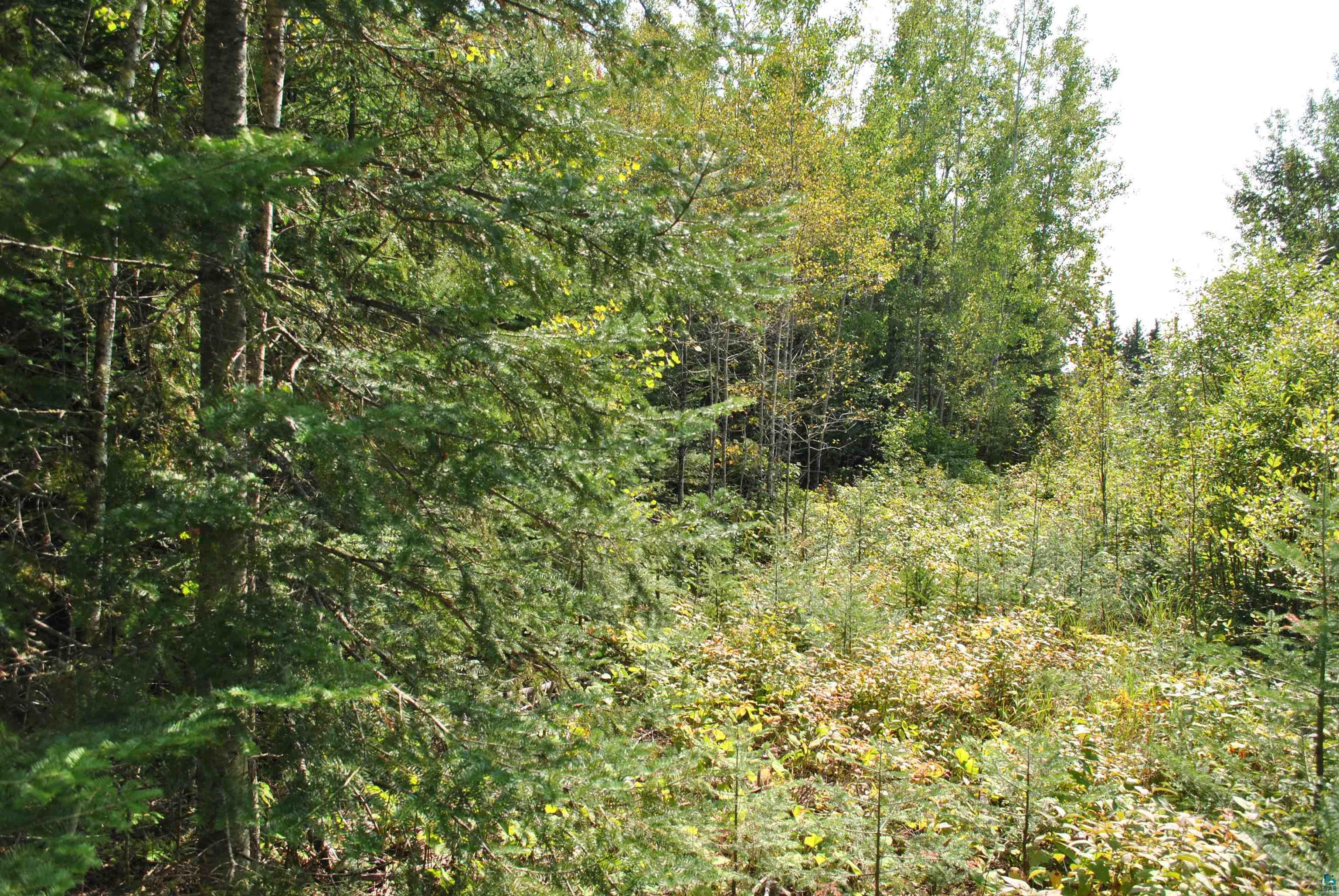 11 Romans Road Grand Marais, MN 55604 - Photo 3 of 18 Gallery Image 3