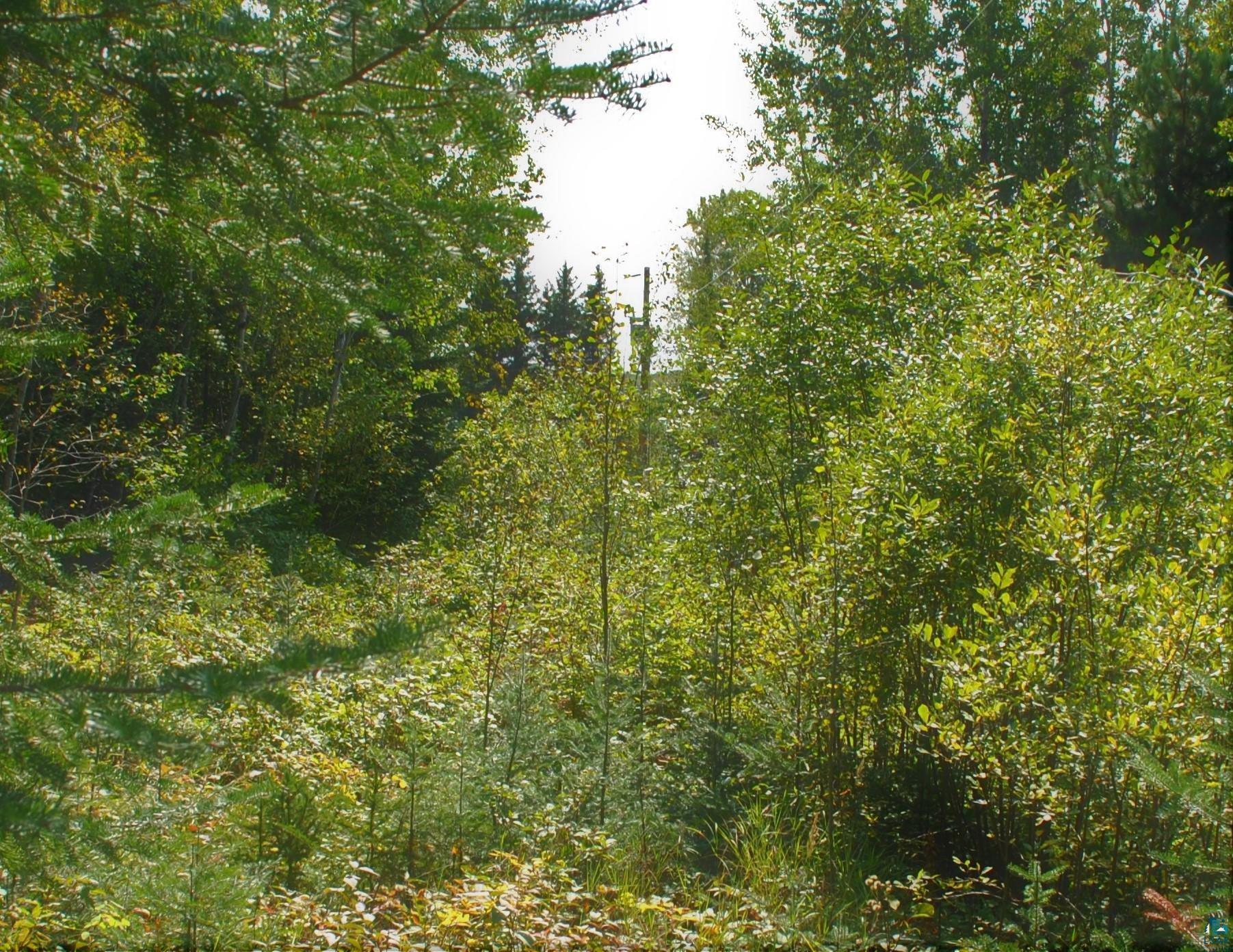 11 Romans Road Grand Marais, MN 55604 - Photo 4 of 18 Gallery Image 4