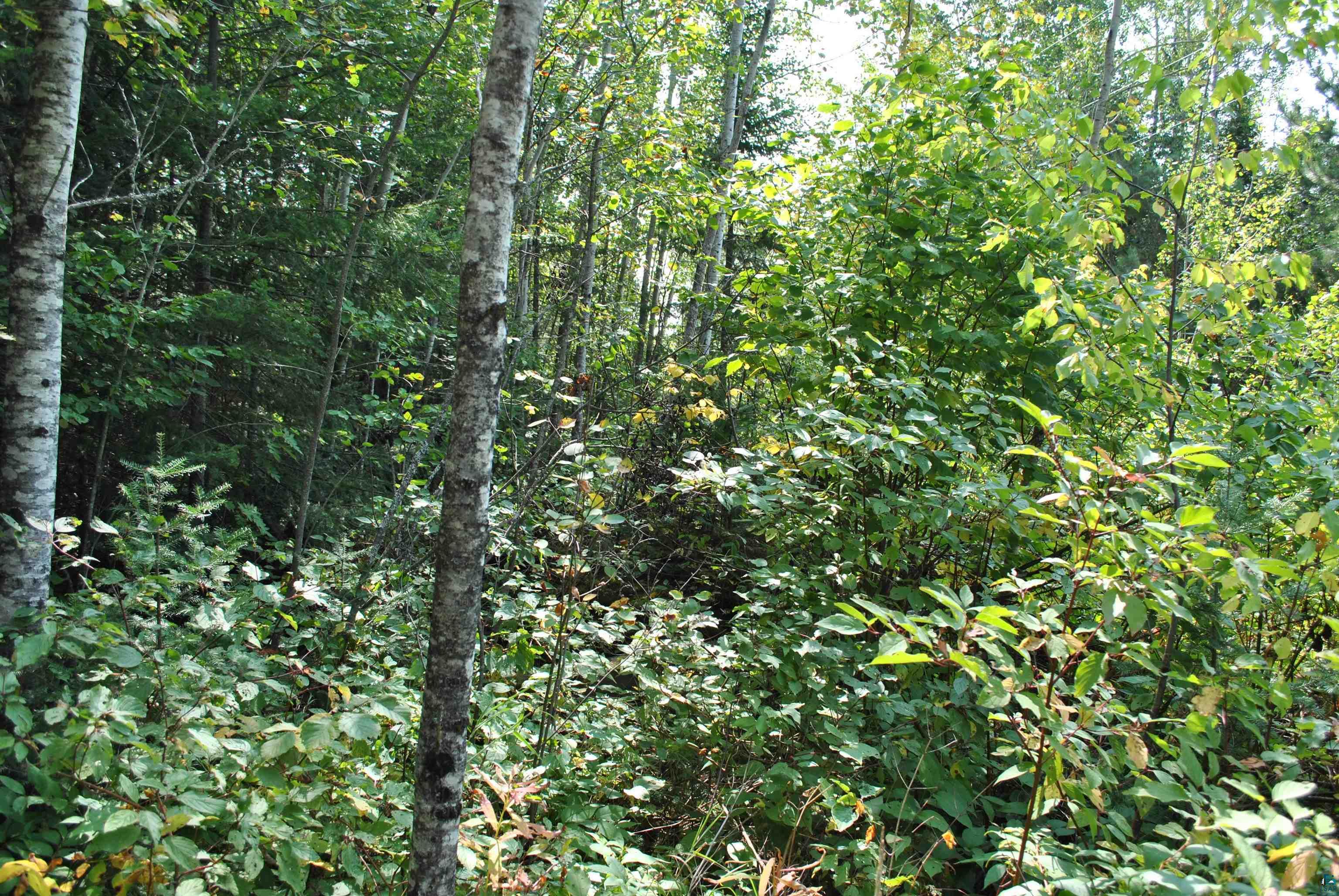 11 Romans Road Grand Marais, MN 55604 - Photo 7 of 18 Gallery Image 7