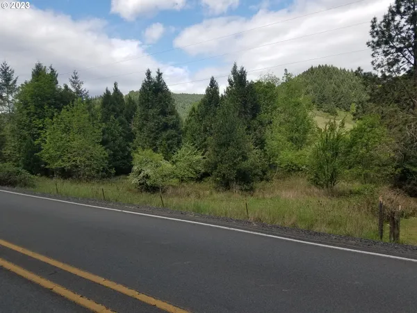 $99,000 | 0 Willis Creek Road, Winston, OR 97496