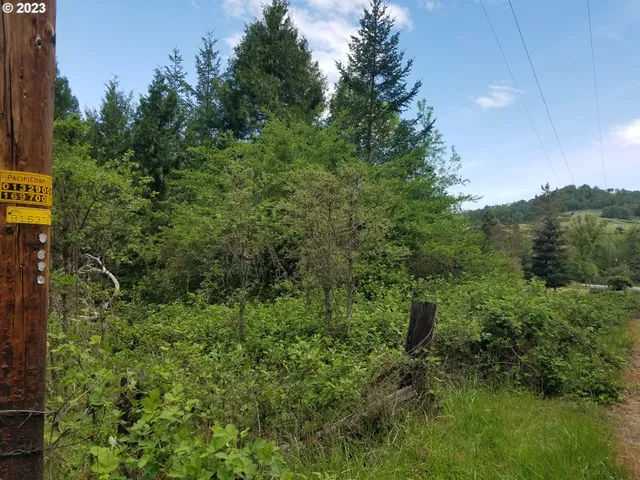 $79,000 | 0 Willis Creek Road, Winston, OR 97496