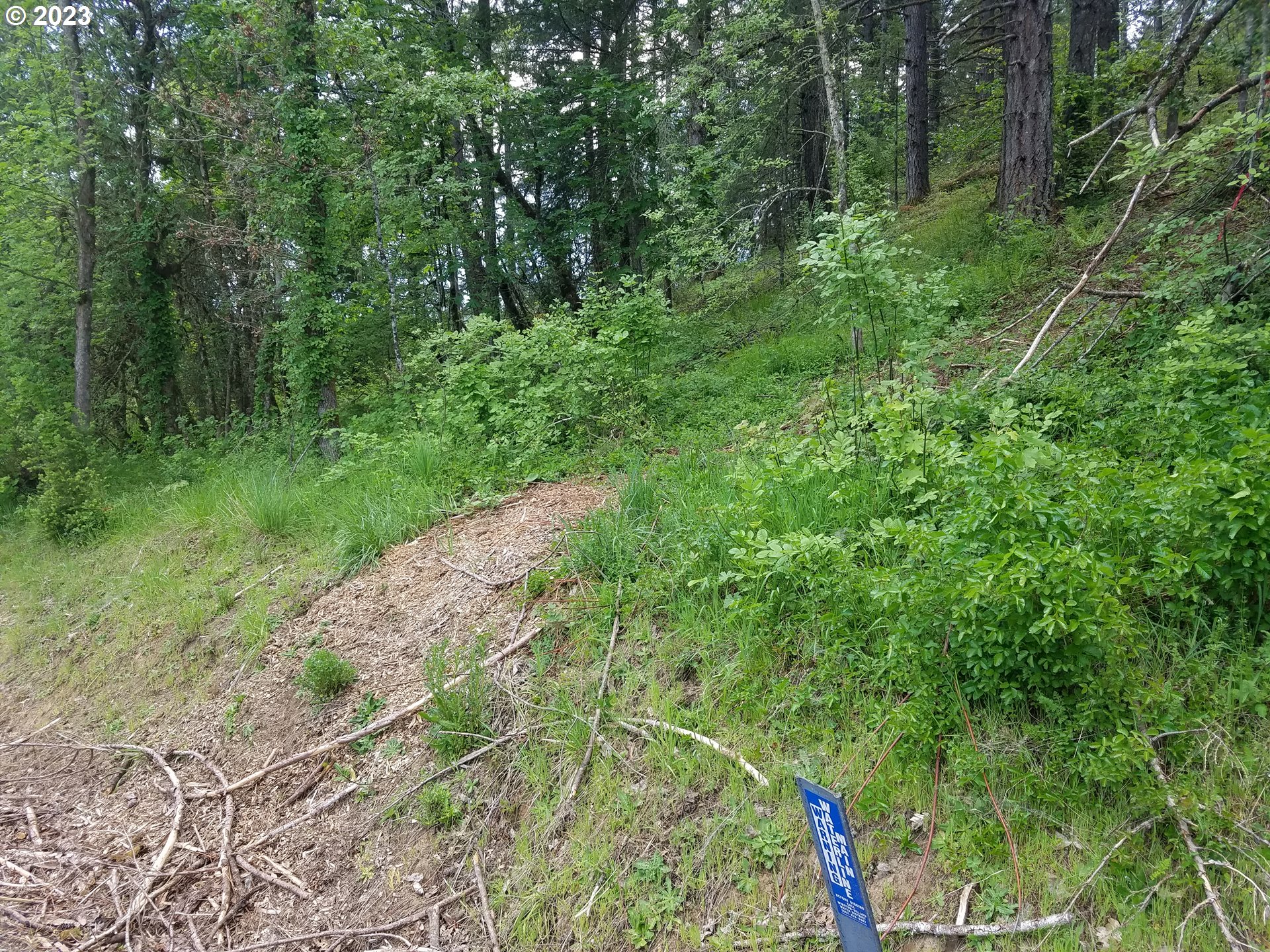 0 Willis Creek Road Winston, OR 97496 - Photo 4 of 13