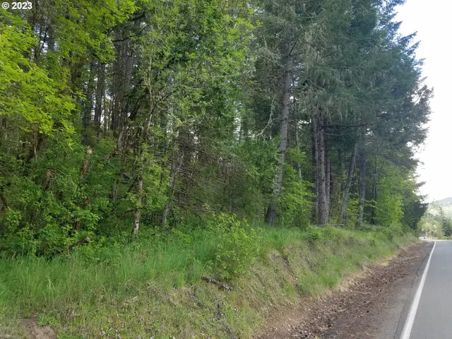 $79,000 | 0 Willis Creek Road, Winston, OR 97496