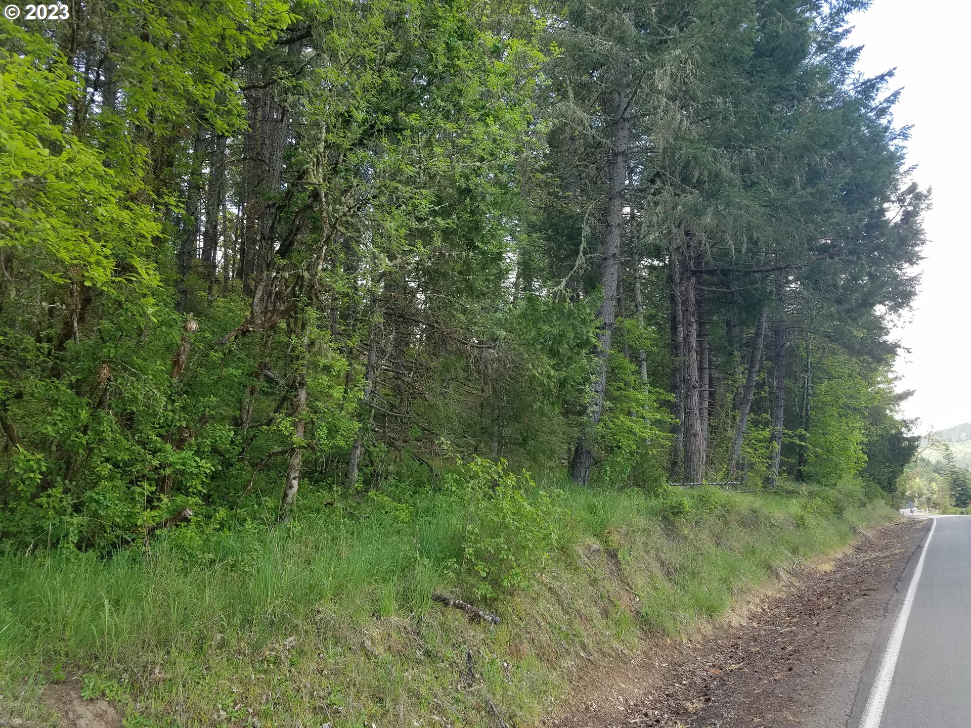 0 Willis Creek Road Winston, OR 97496 - Photo 6 of 13