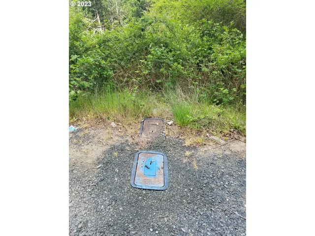 $79,000 | 0 Willis Creek Road, Winston, OR 97496