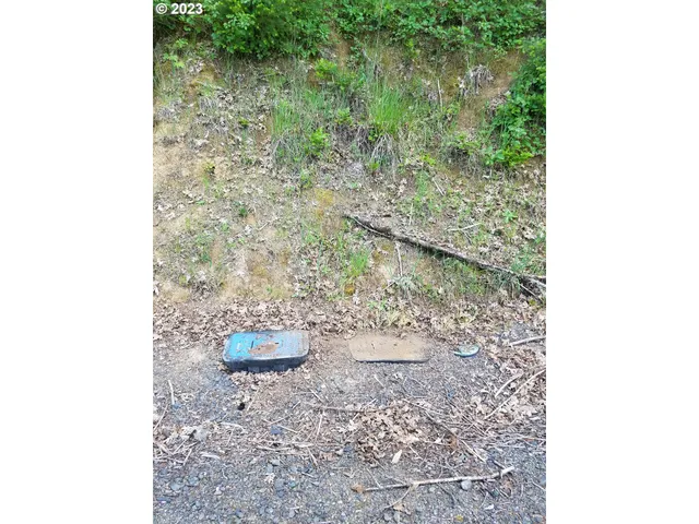 $79,000 | 0 Willis Creek Road, Winston, OR 97496