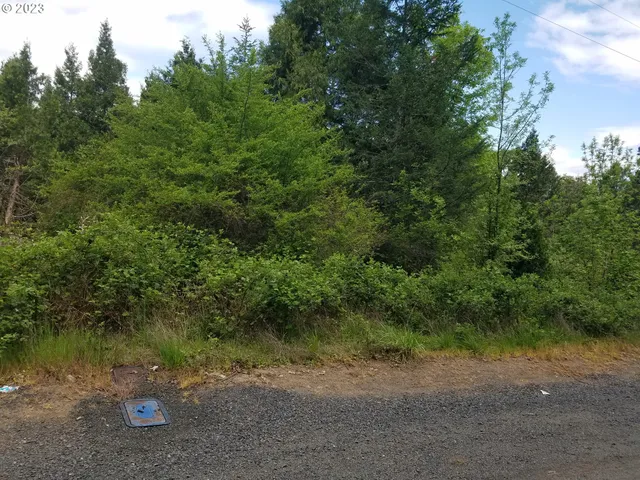 $79,000 | 0 Willis Creek Road, Winston, OR 97496