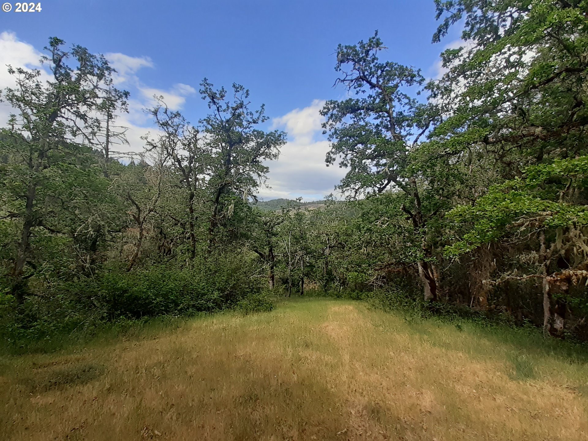 0 Willis Creek Road Winston, OR 97496 - Photo 10 of 13 Buildable Area