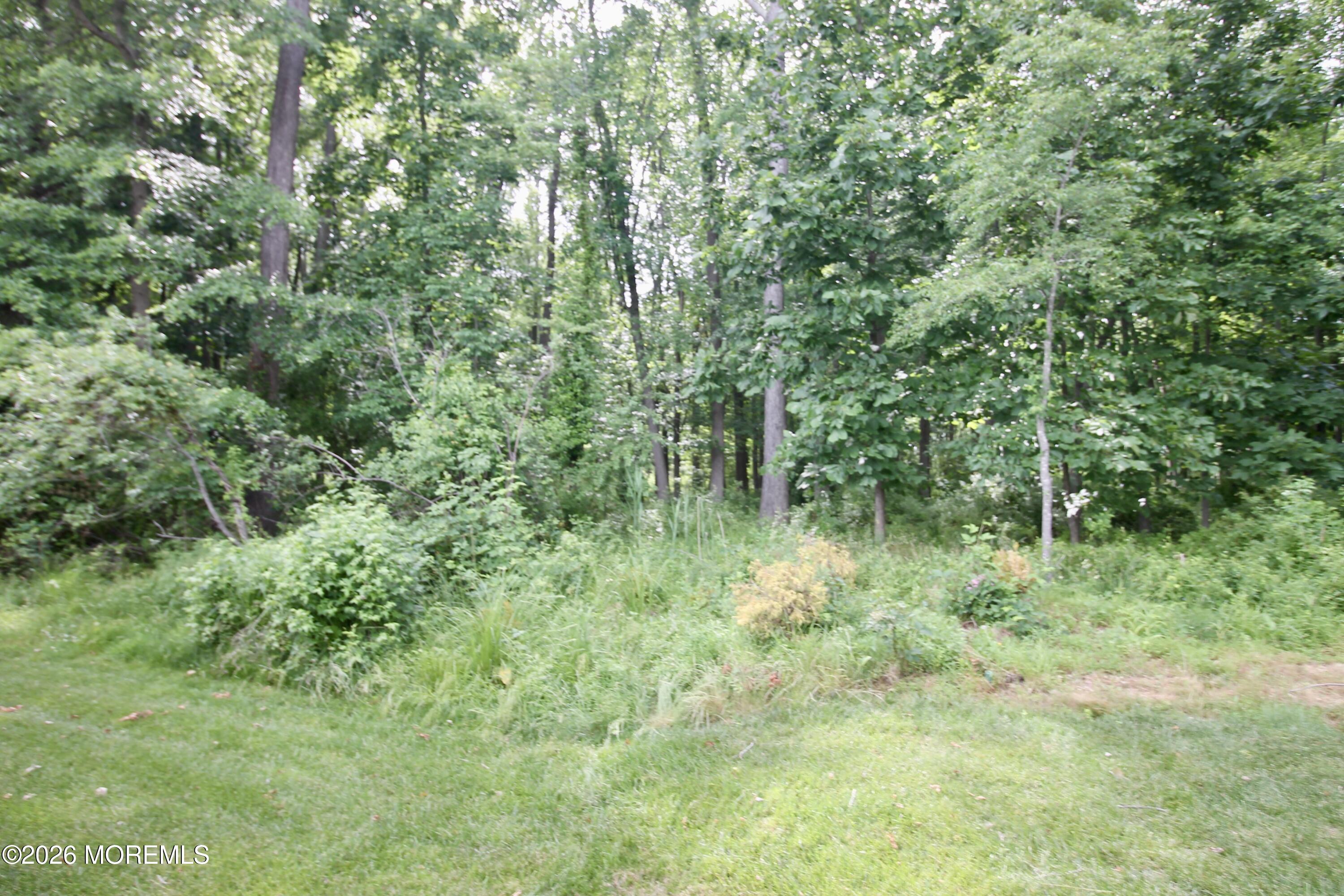 100 Woody Road Freehold, NJ 07728 - Photo 47 of 50 IMG_7834