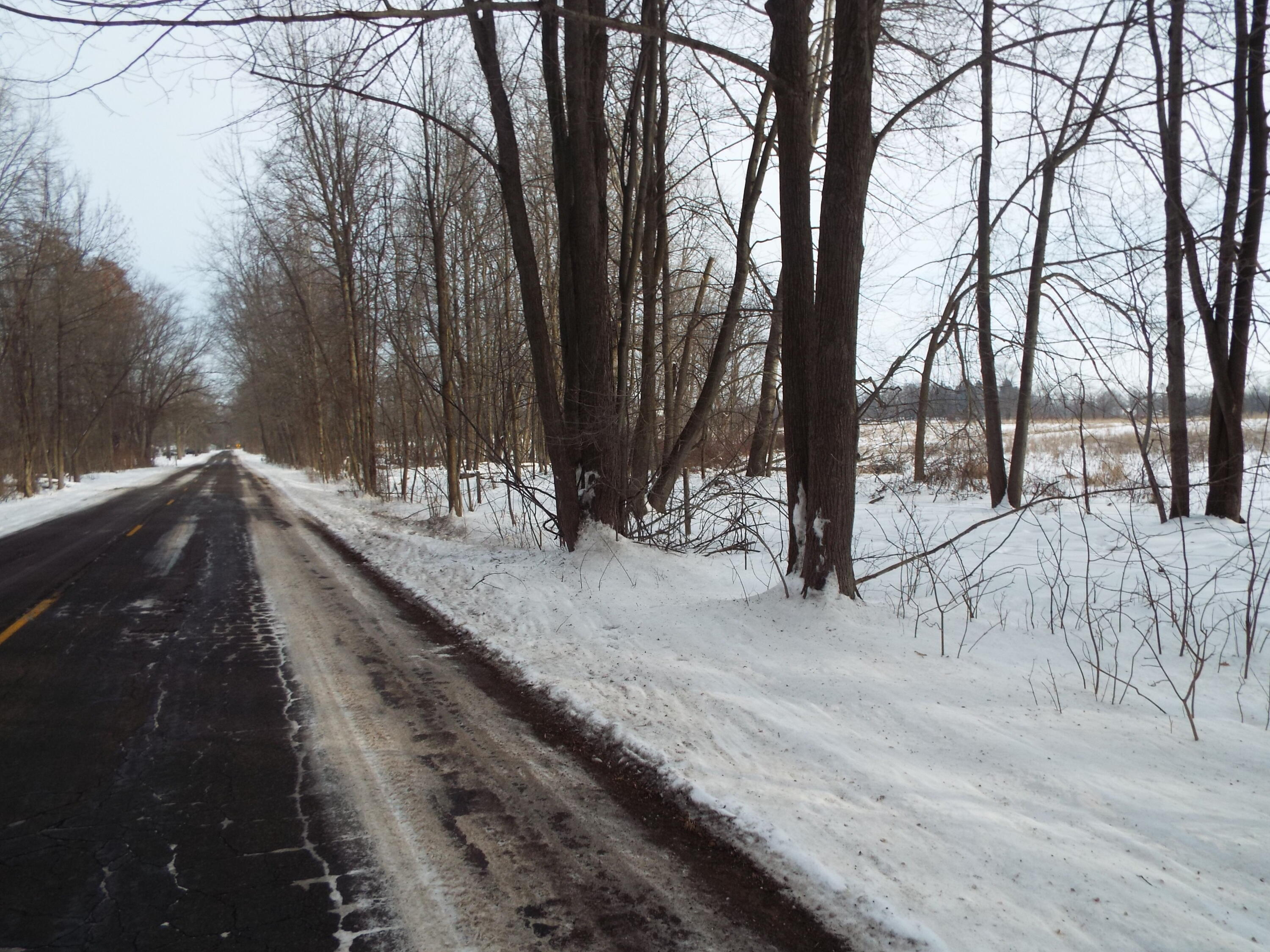 B Peacock Road Leslie, MI 49251 - Photo 2 of 9 DSCF2158