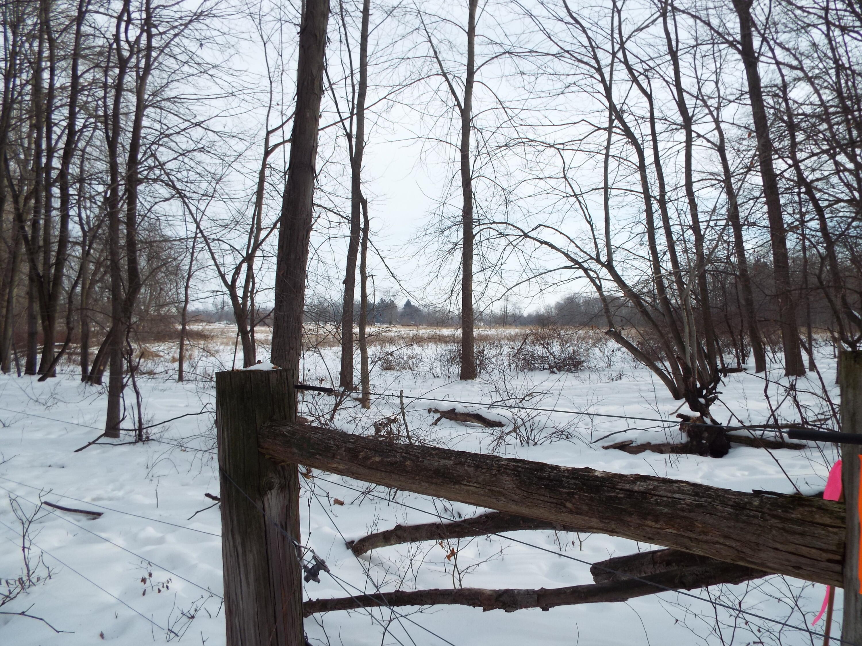 B Peacock Road Leslie, MI 49251 - Photo 3 of 9 DSCF2159