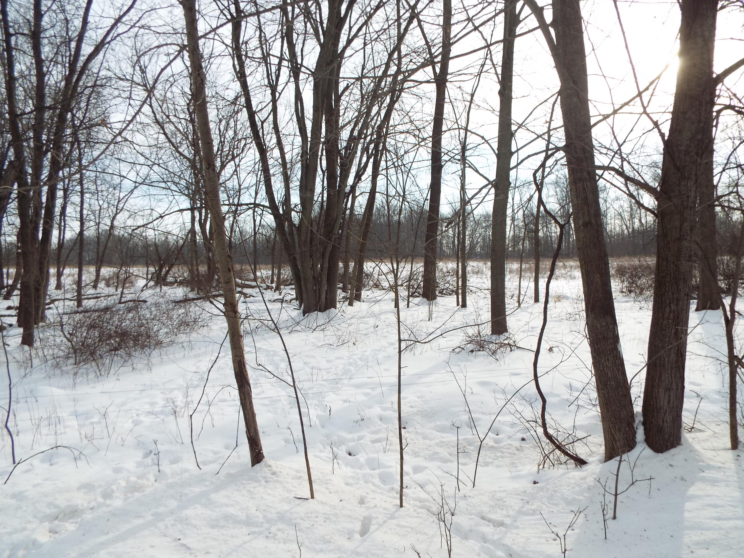 B Peacock Road Leslie, MI 49251 - Photo 4 of 9 DSCF2160