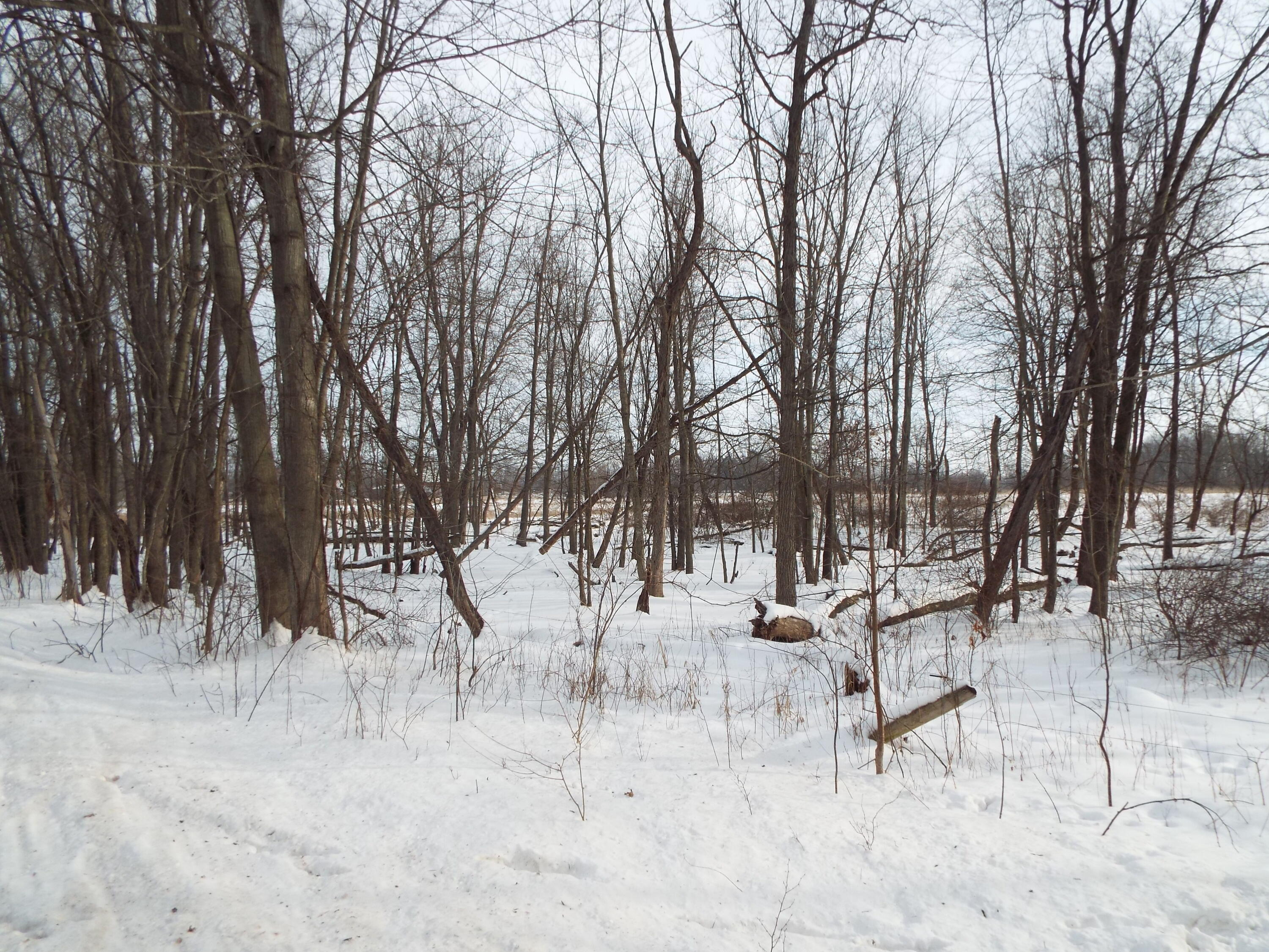 B Peacock Road Leslie, MI 49251 - Photo 5 of 9 DSCF2161