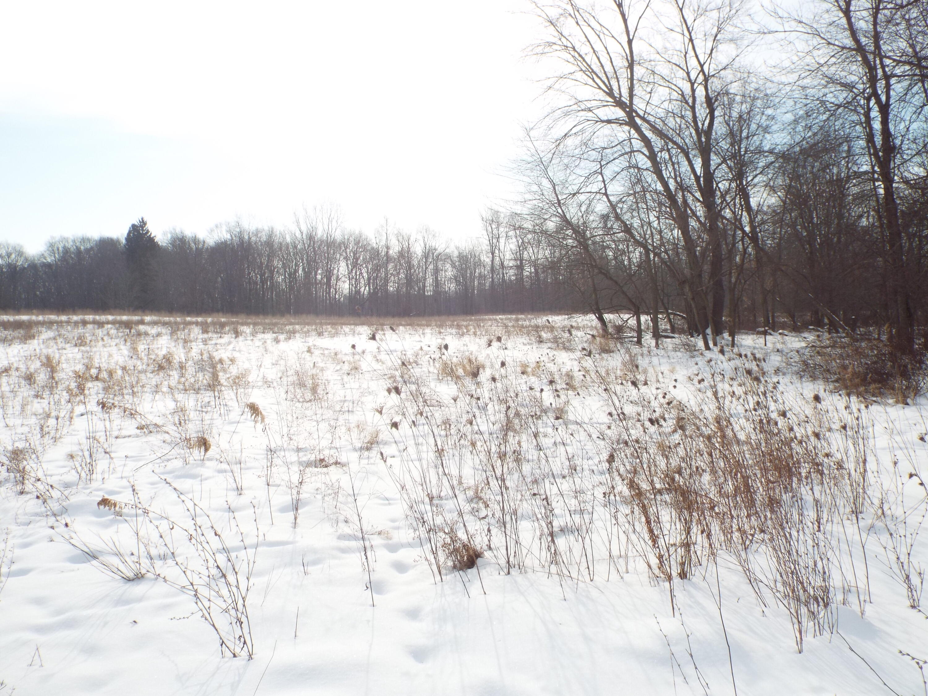B Peacock Road Leslie, MI 49251 - Photo 6 of 9 DSCF2163