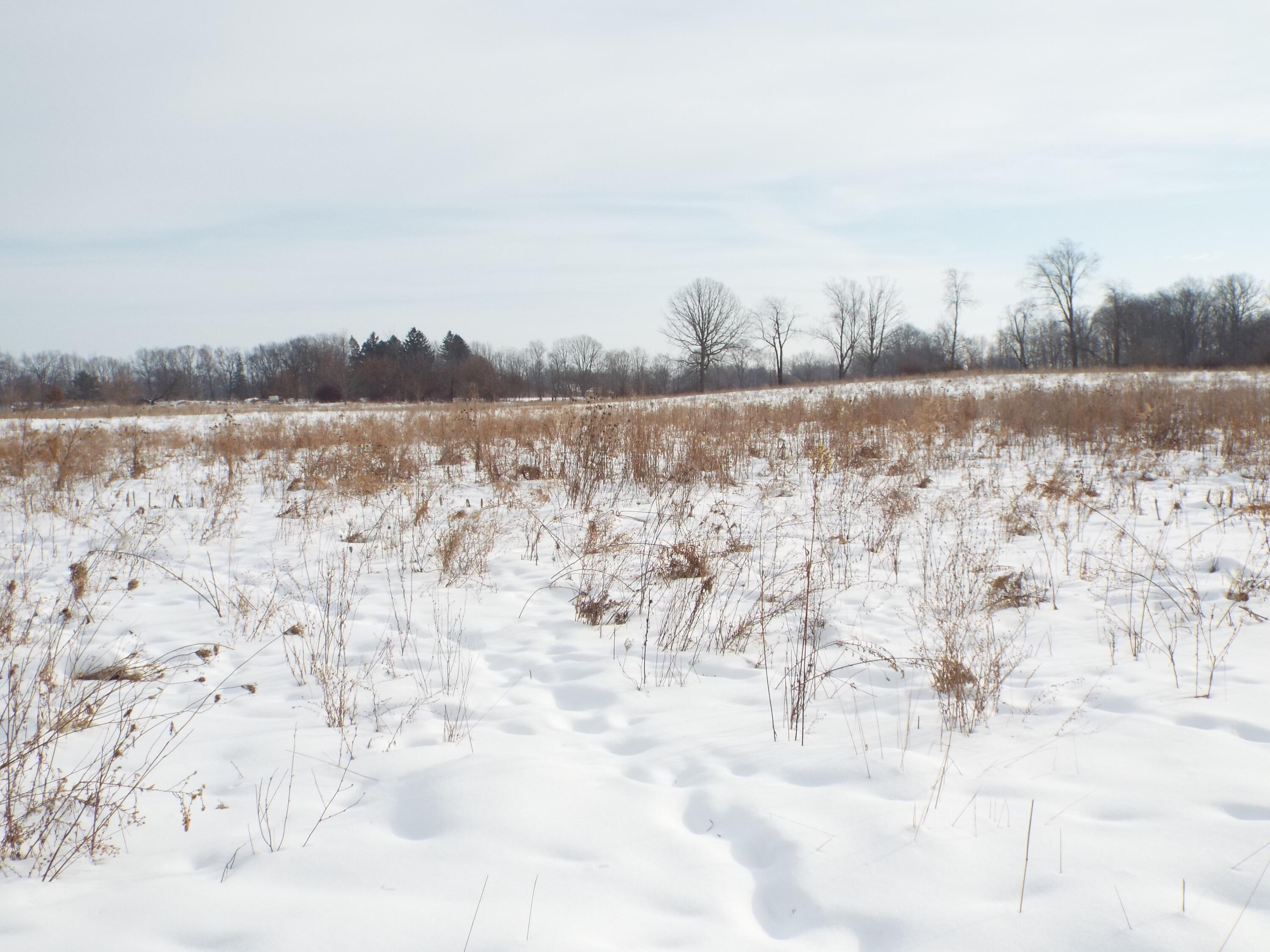 B Peacock Road Leslie, MI 49251 - Photo 7 of 9 DSCF2164