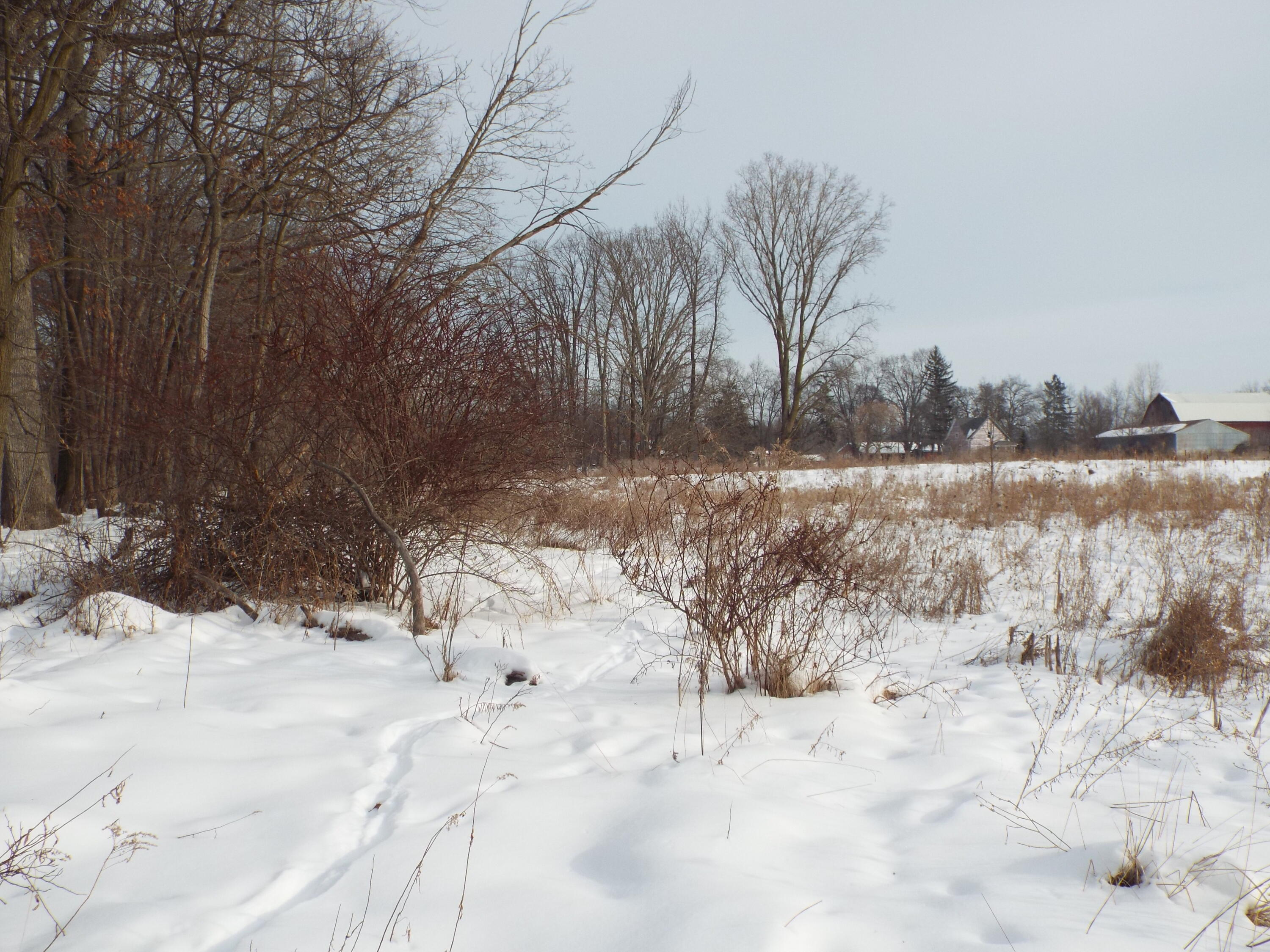 B Peacock Road Leslie, MI 49251 - Photo 8 of 9 DSCF2165